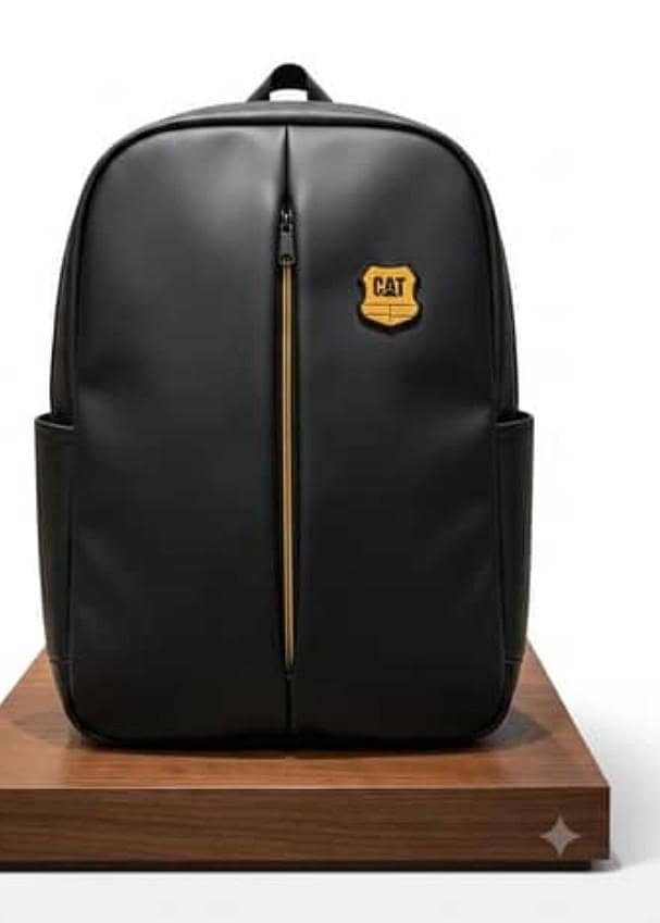 Cat bag 0