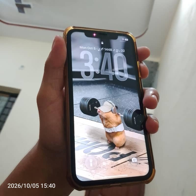 Apple iPhone 11 0