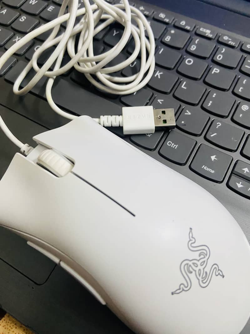 Razer DeathAdder Essential Gaming Mouse 1