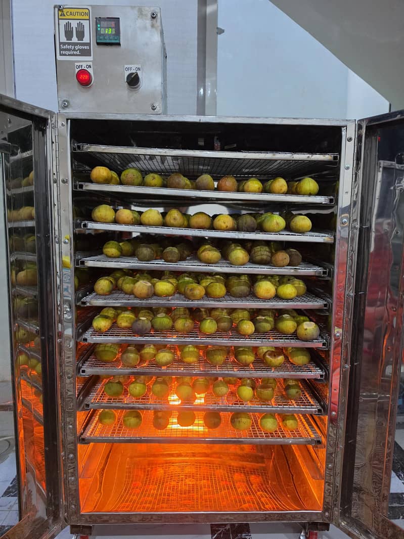 10 Tray dehydrator 1