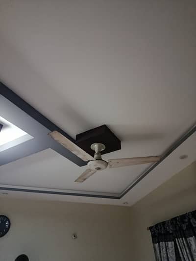 Fans - Ceiling Fans - 6 Different Ceiling Fans for Sale Rs. 5,800 Each