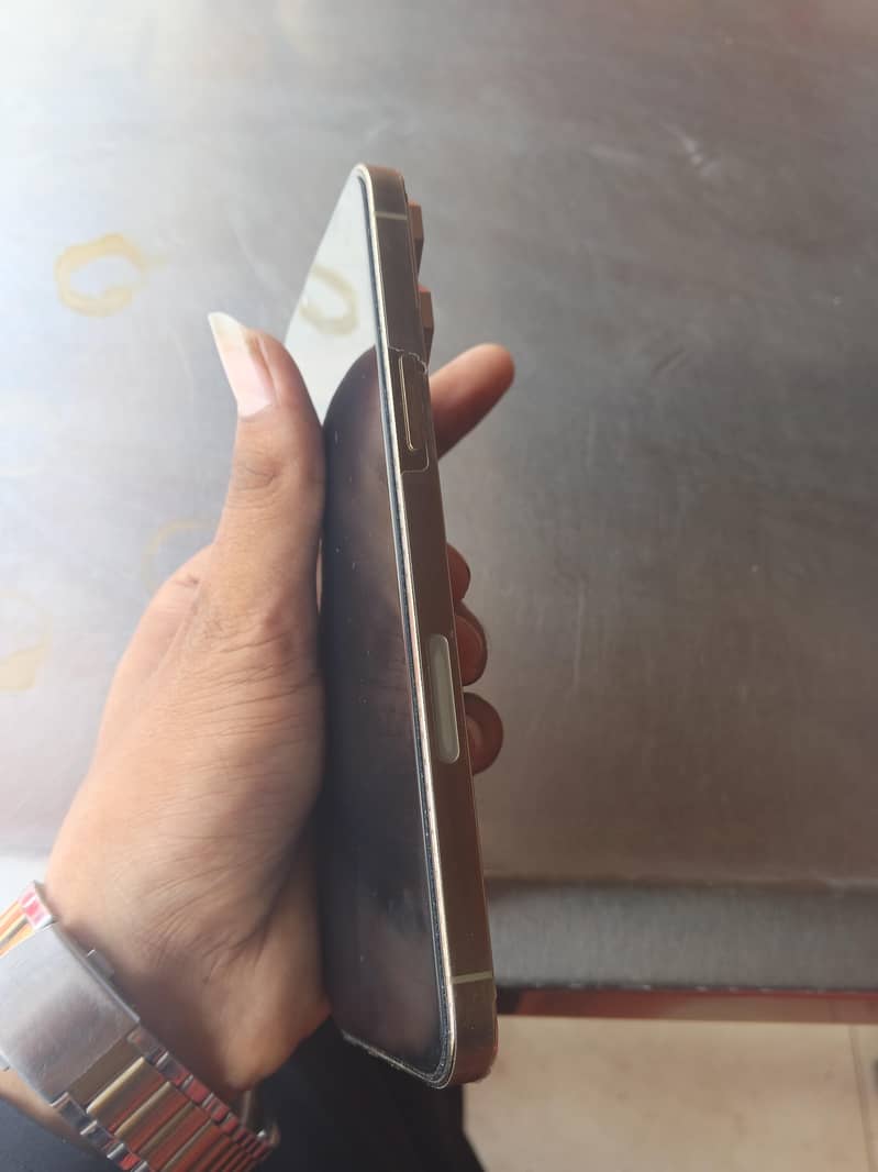 Apple iPhone 13 Pro Max 3