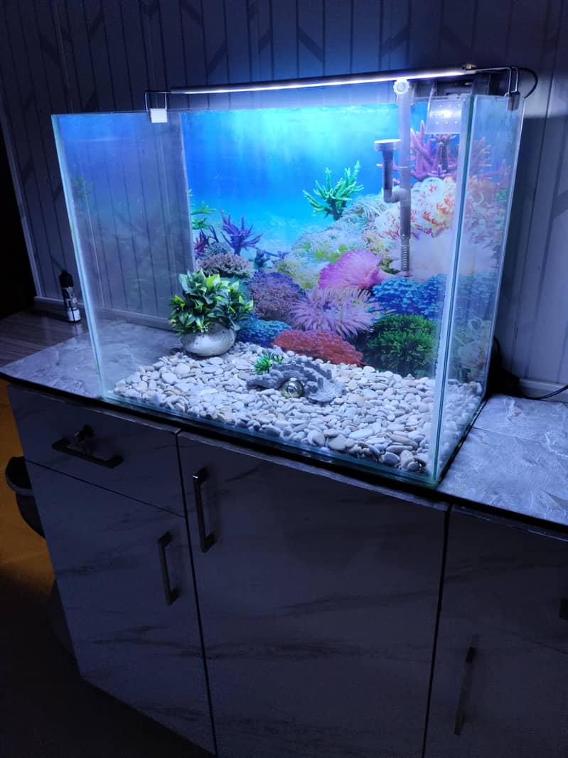 fish aquarium 0