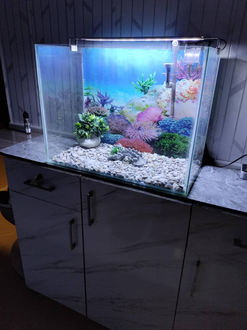 fish aquarium 1