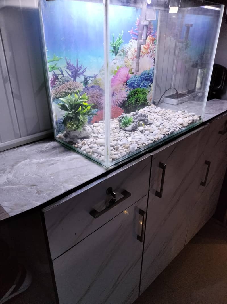fish aquarium 2
