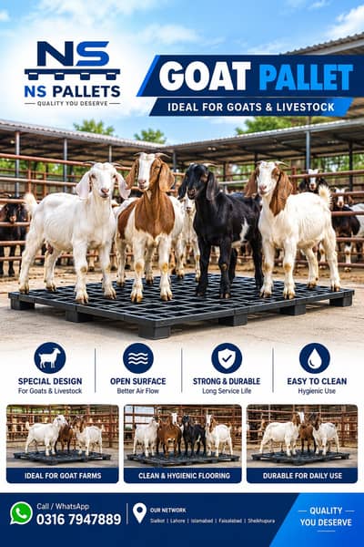 Plastic Pallets for Goat Farm  4x4 Ft  Heavy Duty Black Pallet