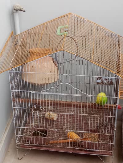 cage sale