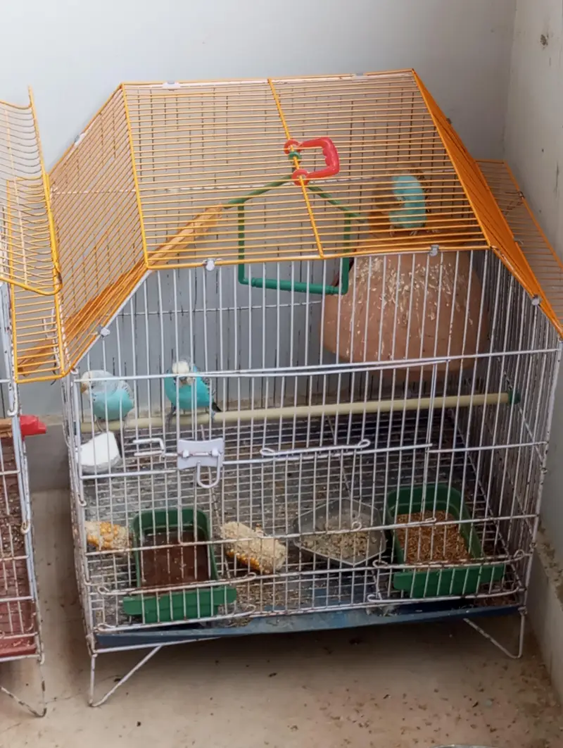 cage sale — photo 2