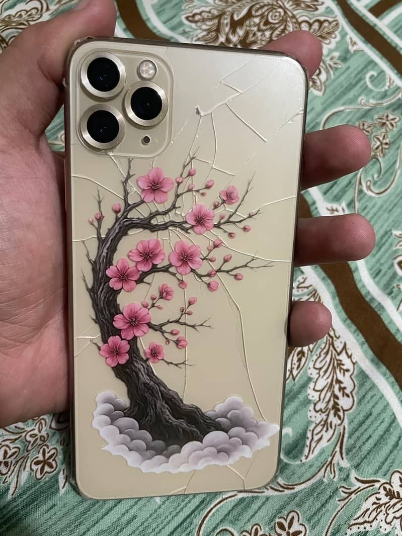 Apple iPhone 11 Pro Max 0