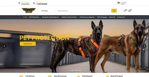 Professional & Affordable Website Development in Sialkot | WordPress &