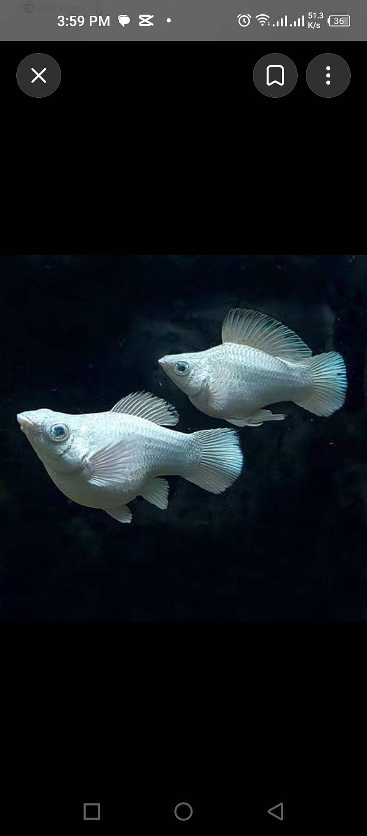 selling 6