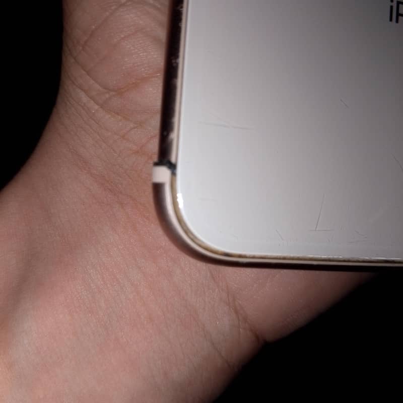 Apple iPhone 8 Plus 3