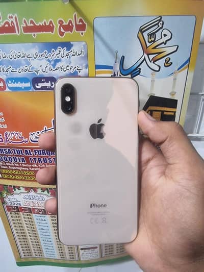 Apple iPhone XS