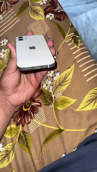 Apple iPhone 12