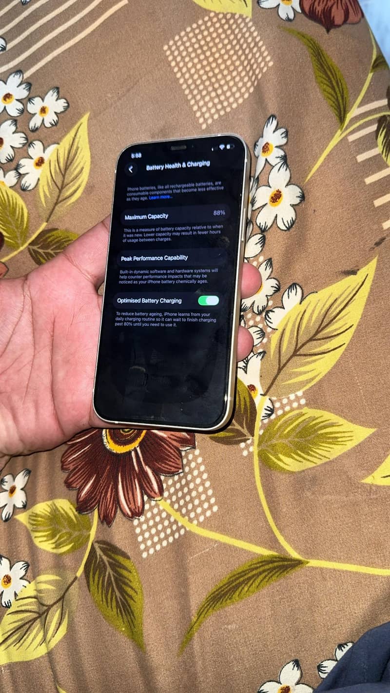 Apple iPhone 12 2