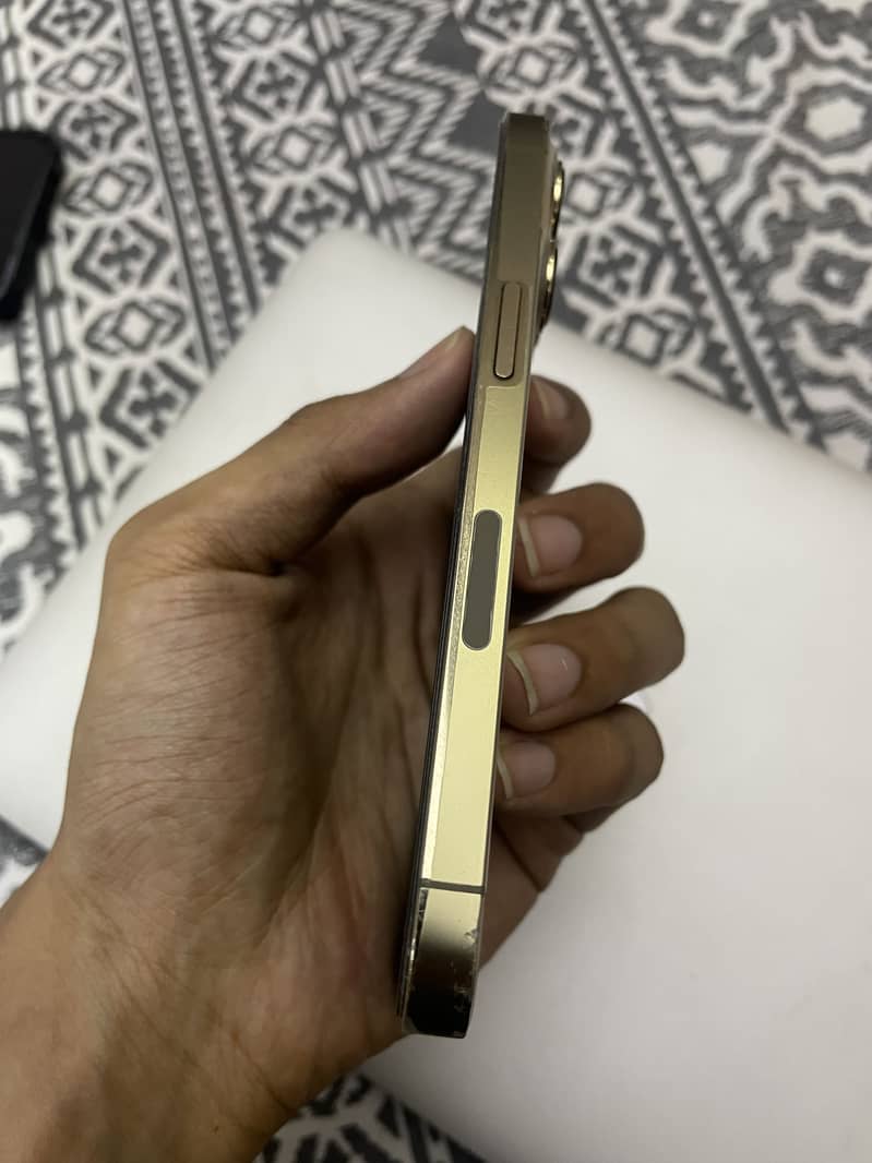 Apple iPhone 13 Pro 1