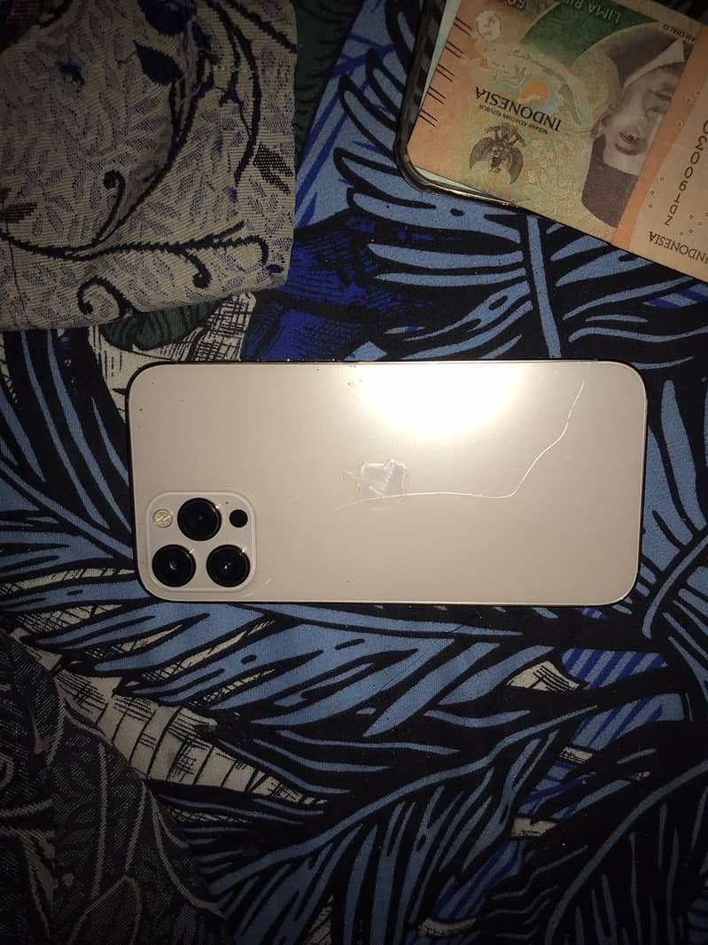 Apple iPhone 12 Pro Max 2