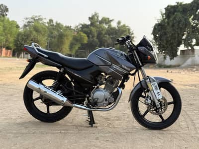 YAMAHA YBR ESD 03313939676