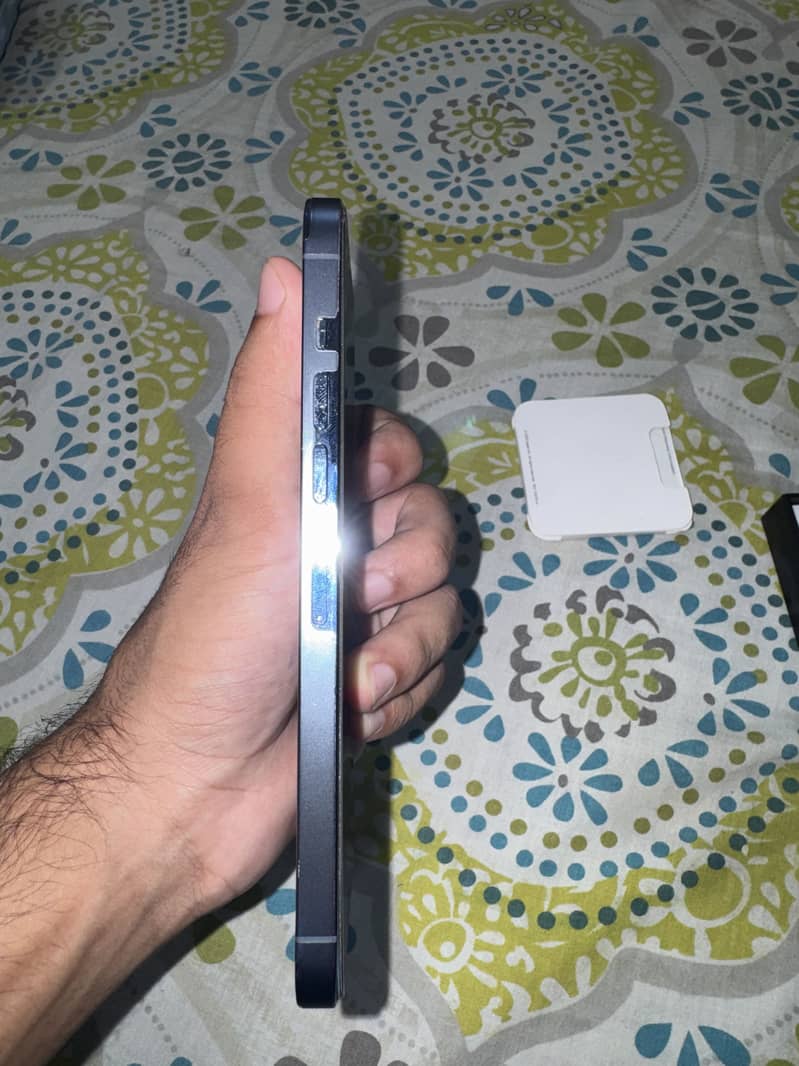 Apple iPhone 13 Pro Max 1