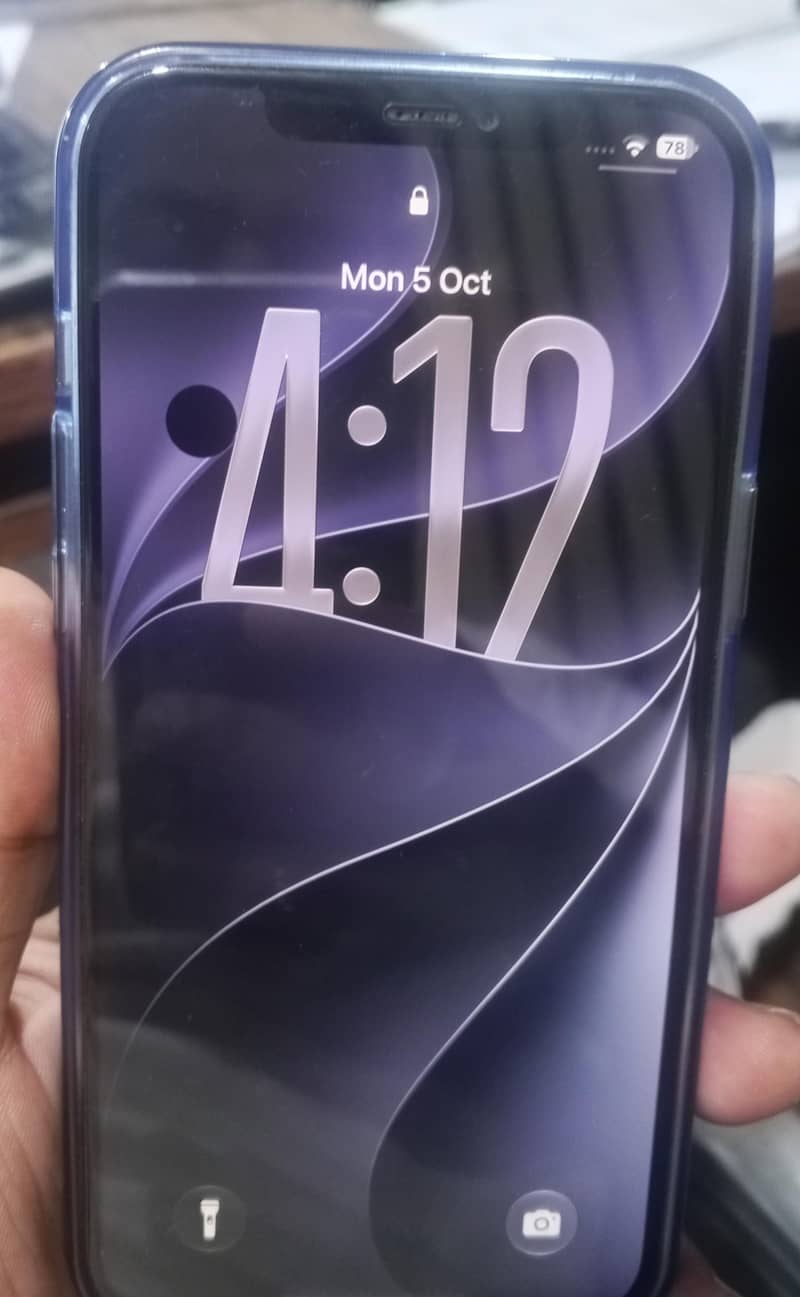 Apple iPhone 12 Pro Max 2