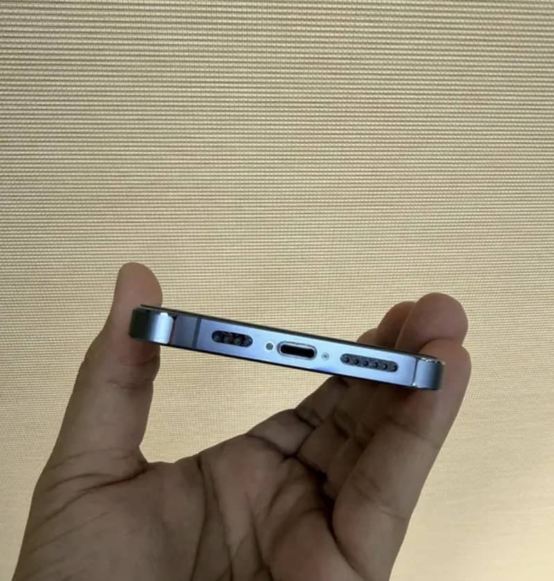 Apple iPhone 13 Pro Max 1
