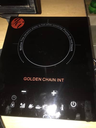 INDUCTION COOKER NEW . 10/10