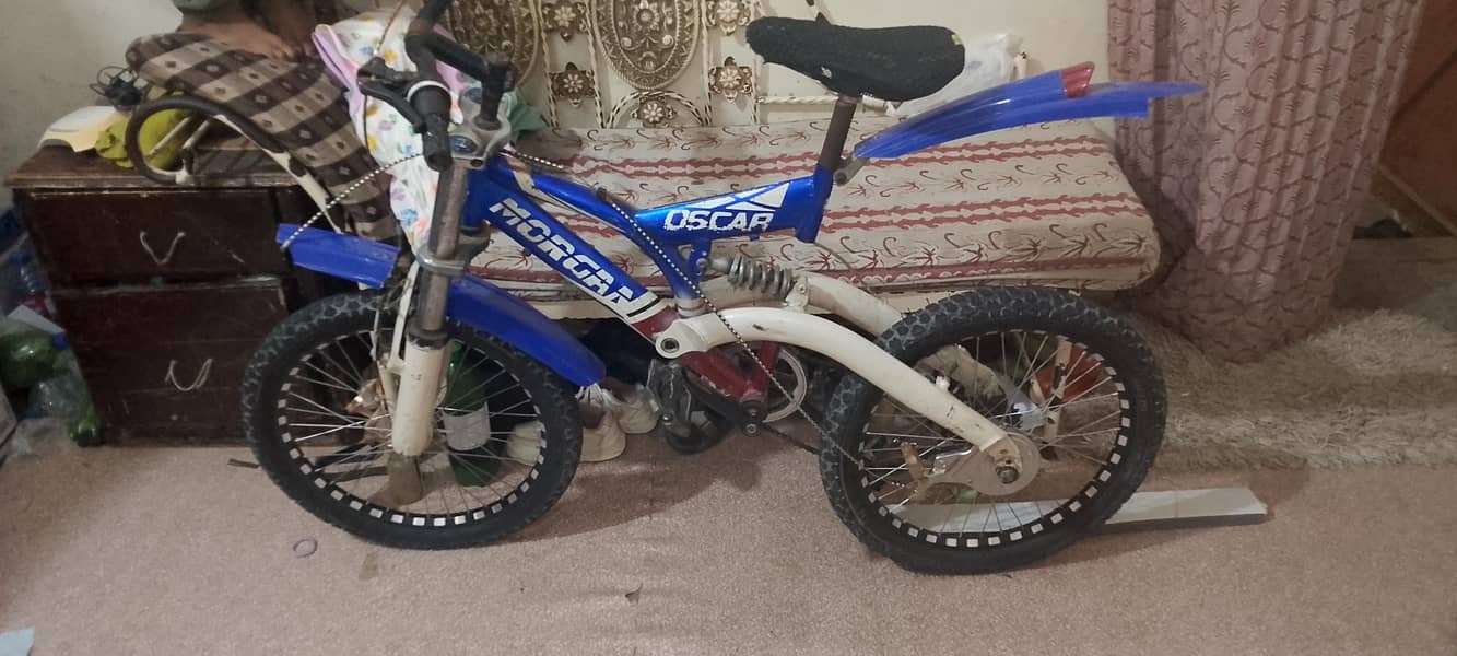 bi cycle 0