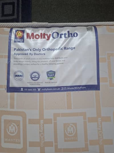 master molty ortho