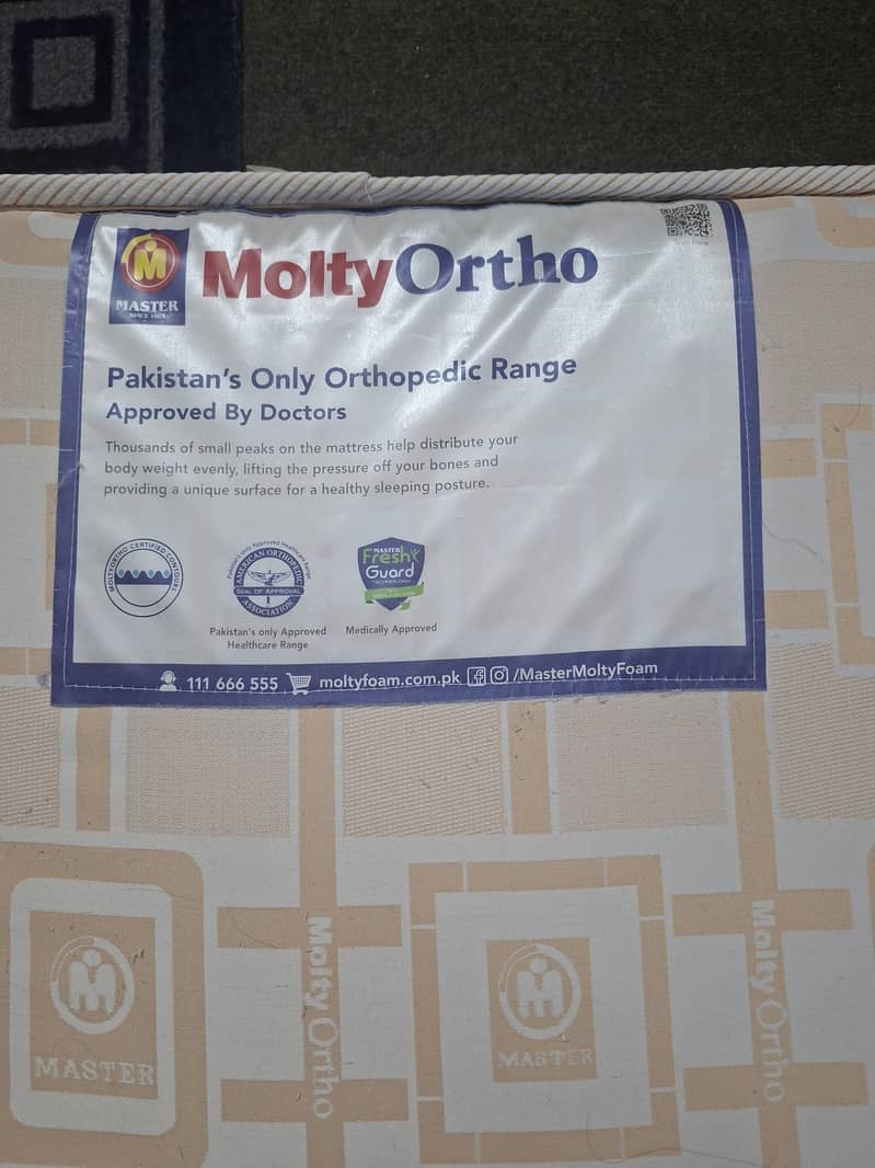 master molty ortho 0