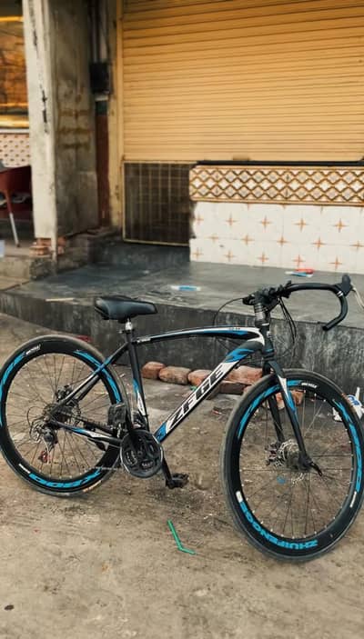 Hybrid Bicycle