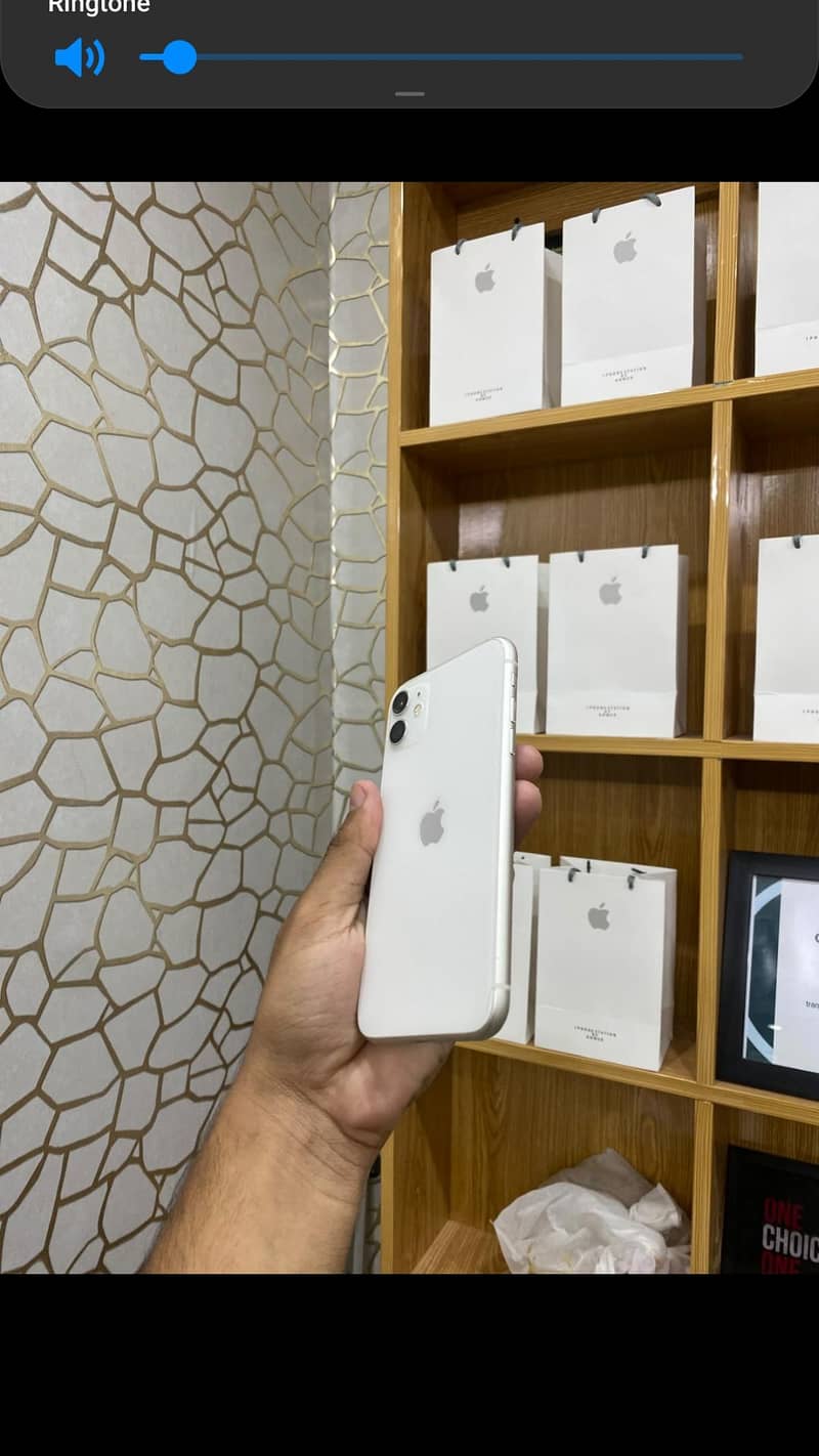 Apple iPhone 11 1