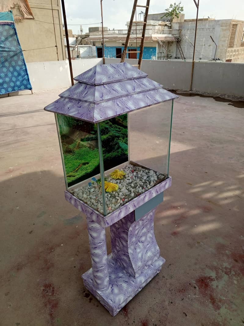 fish aquarium 0