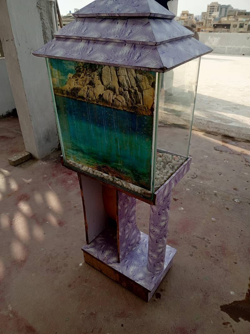 fish aquarium 1