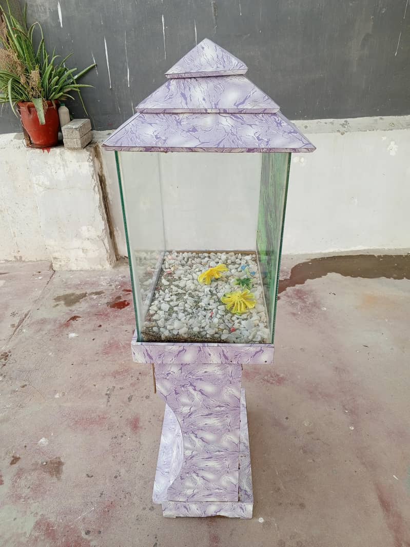 fish aquarium 2