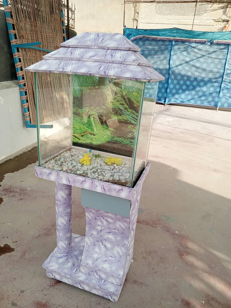 fish aquarium 3