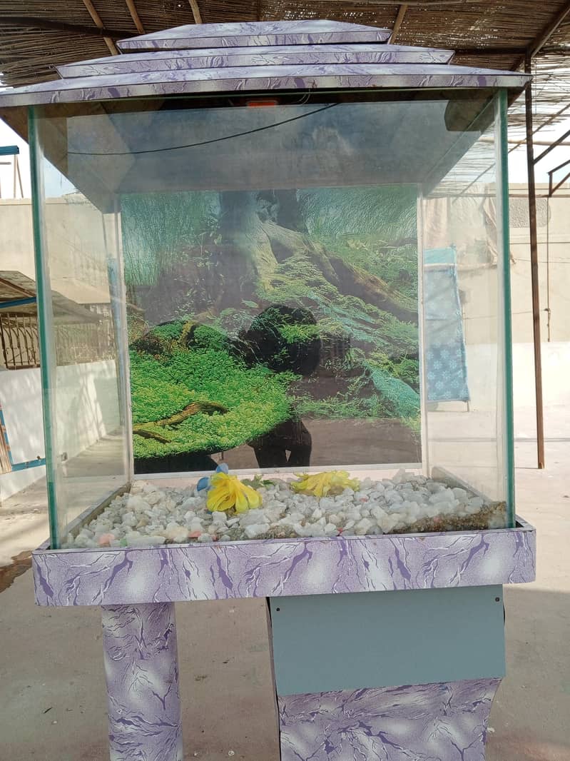 fish aquarium 4