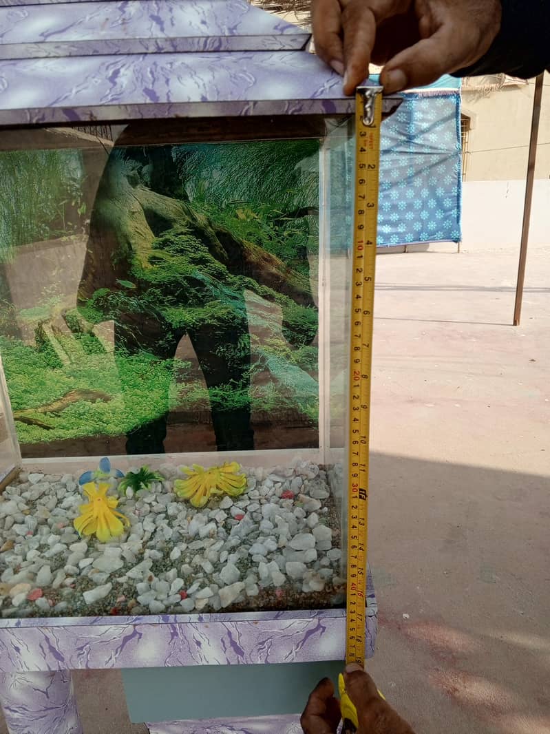 fish aquarium 5