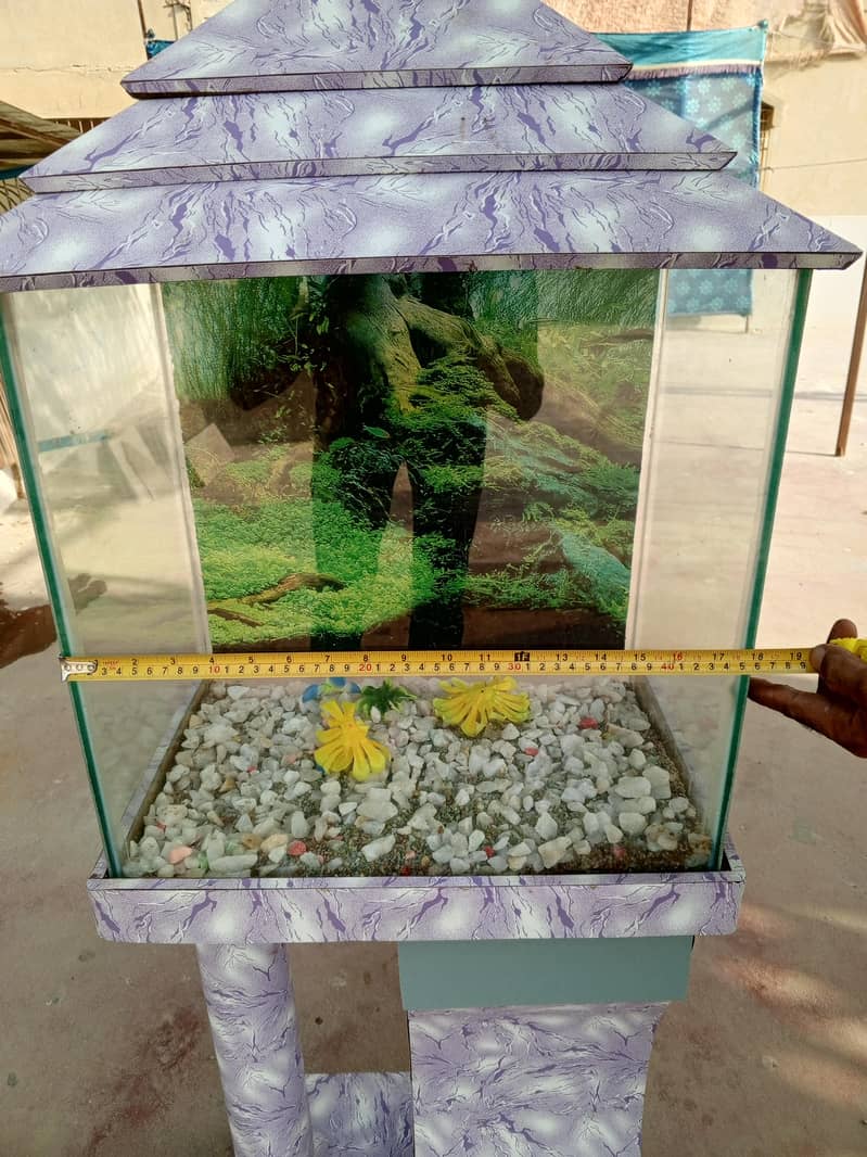 fish aquarium 6