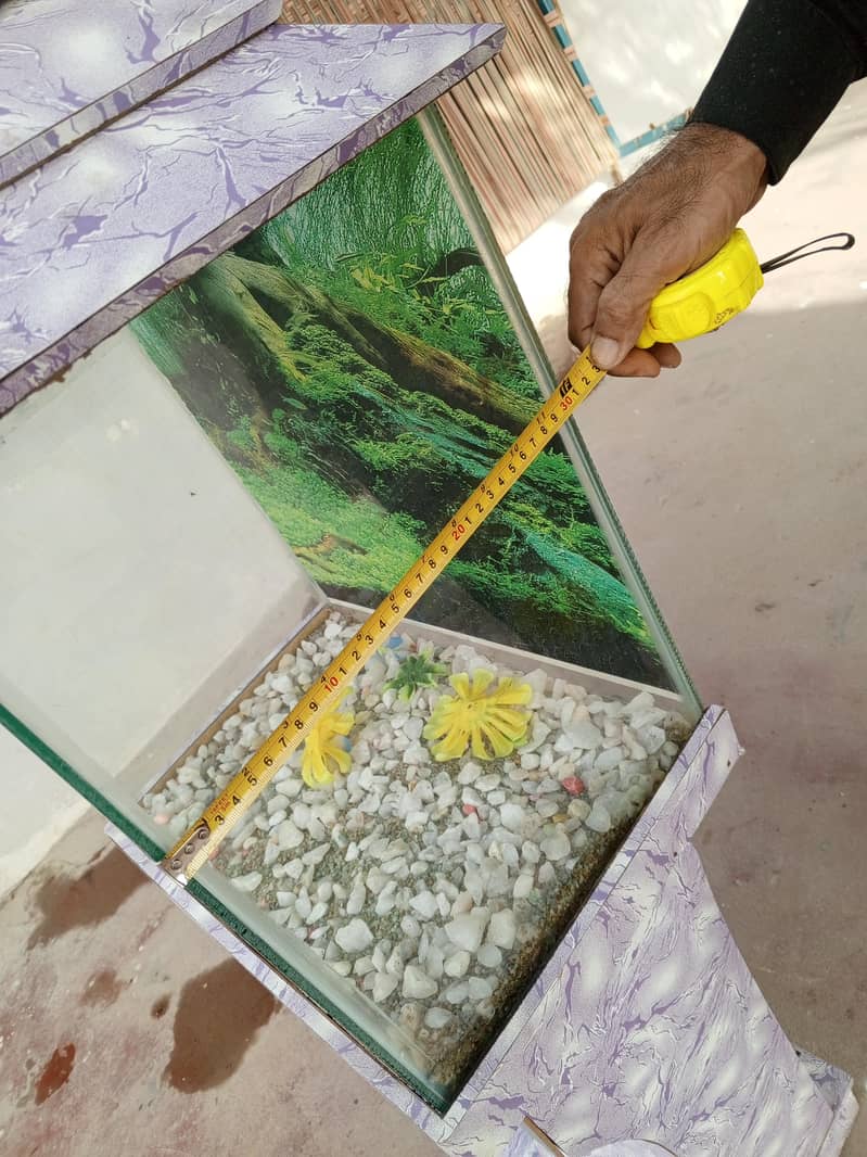 fish aquarium 7