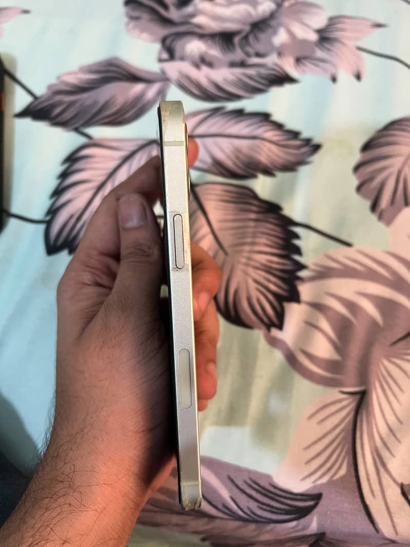 Apple iPhone 12 3