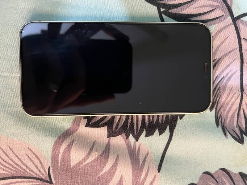 Apple iPhone 12 7