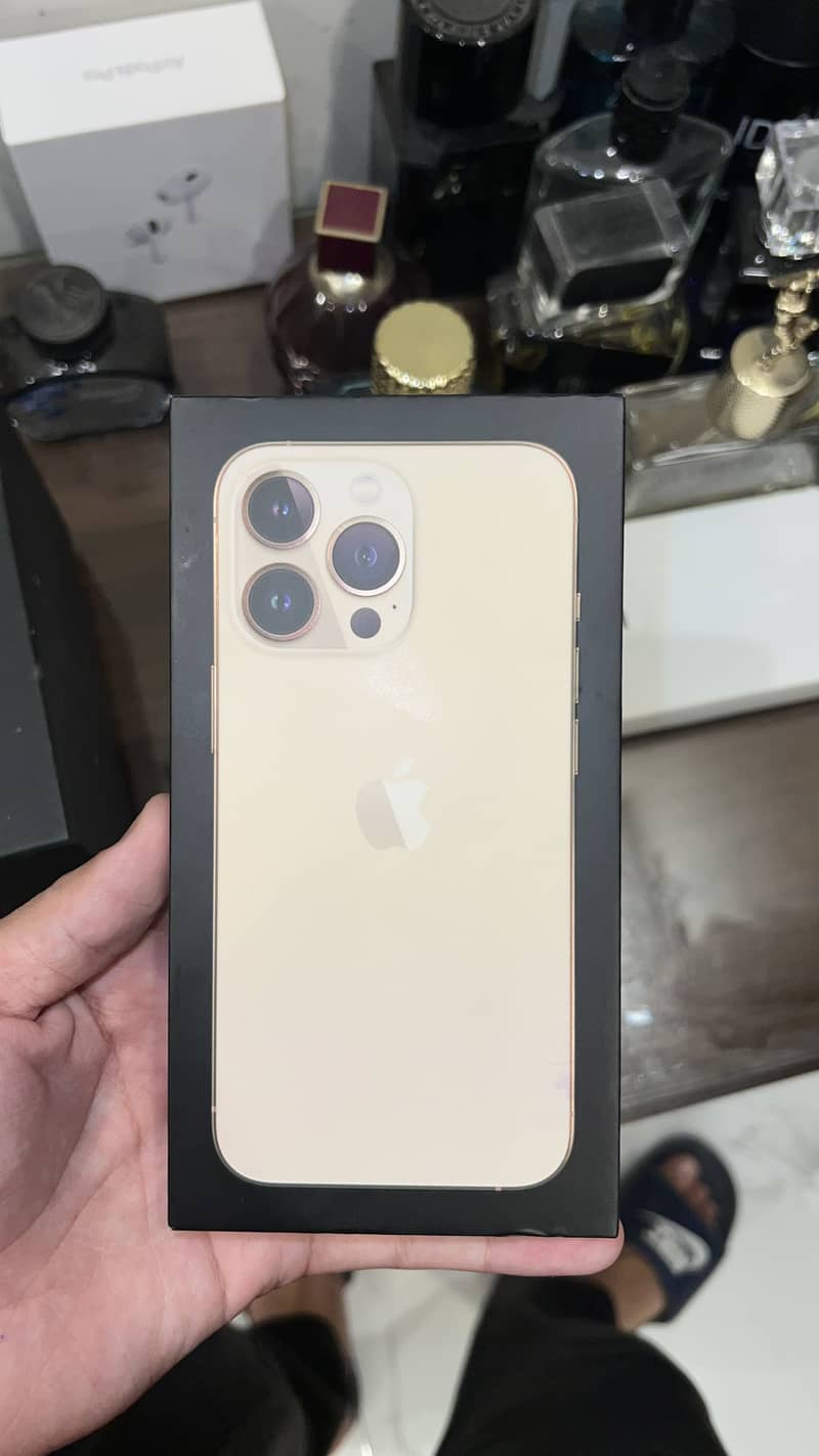 Apple iPhone 13 Pro 1