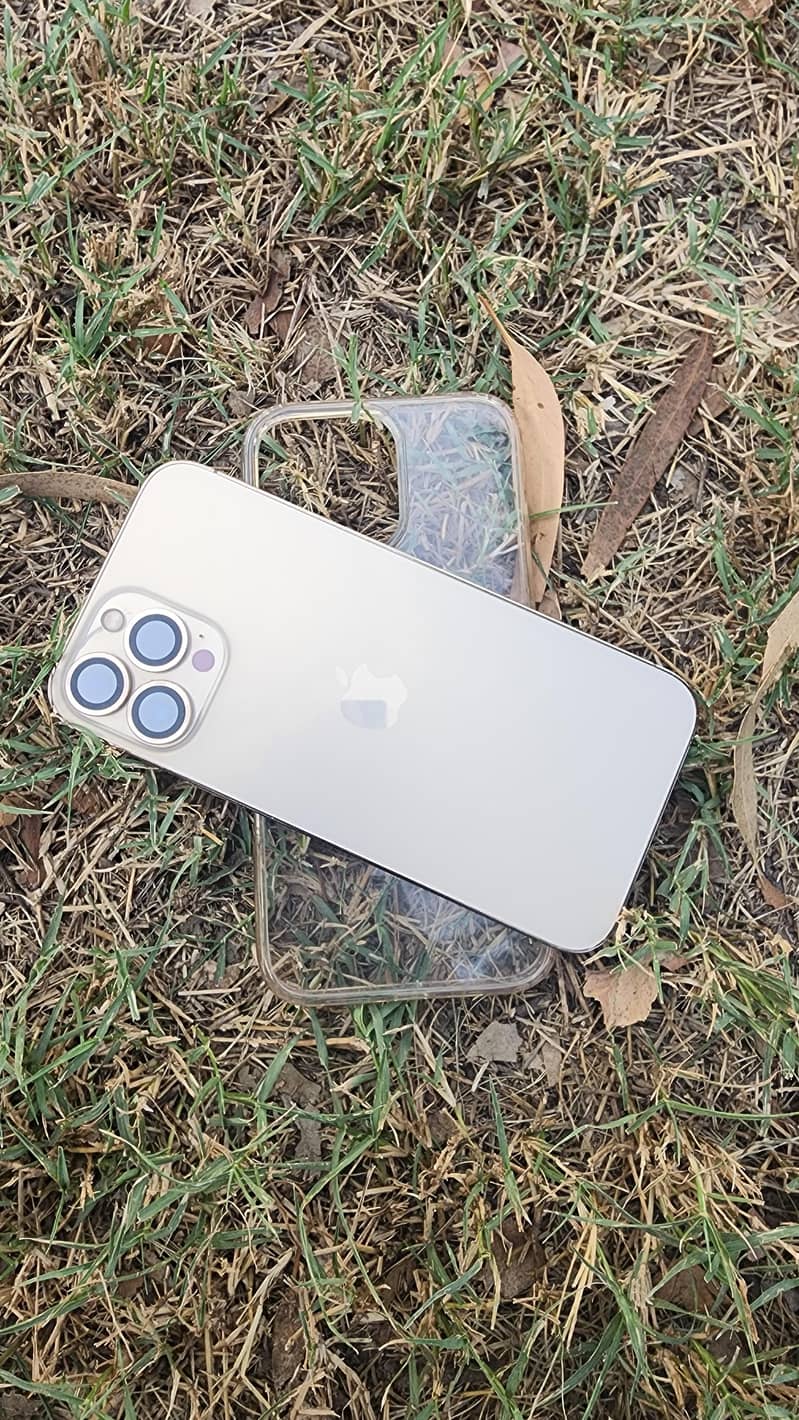 Apple iPhone 13 Pro Max 0