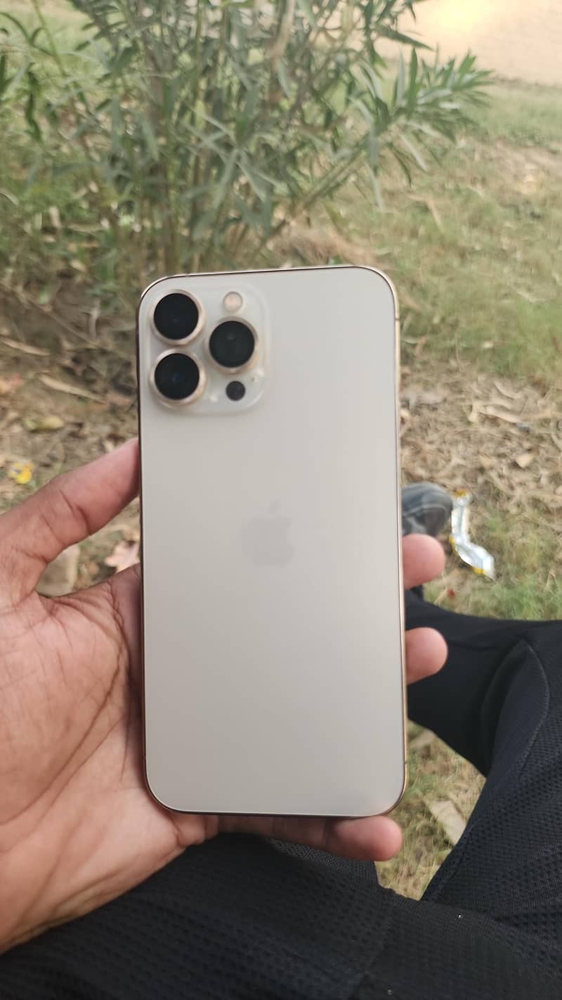 Apple iPhone 13 Pro Max 1