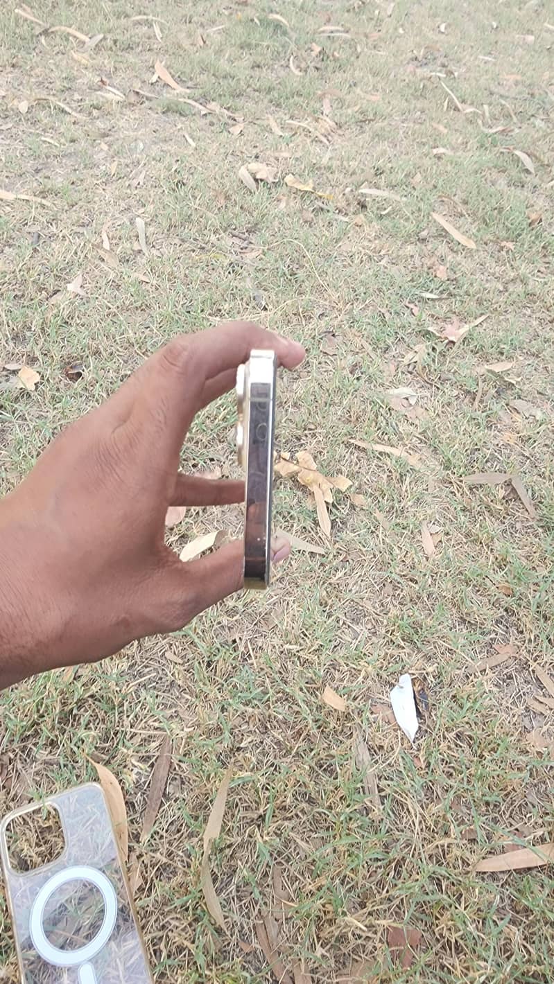 Apple iPhone 13 Pro Max 6