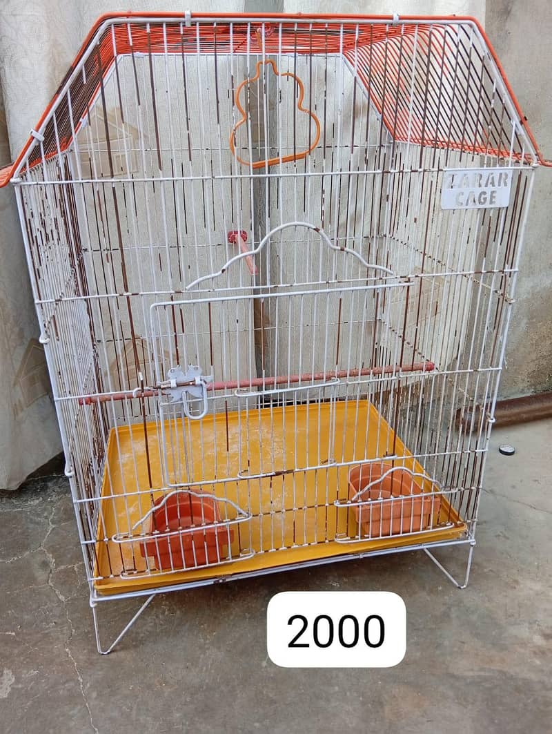 cages 1