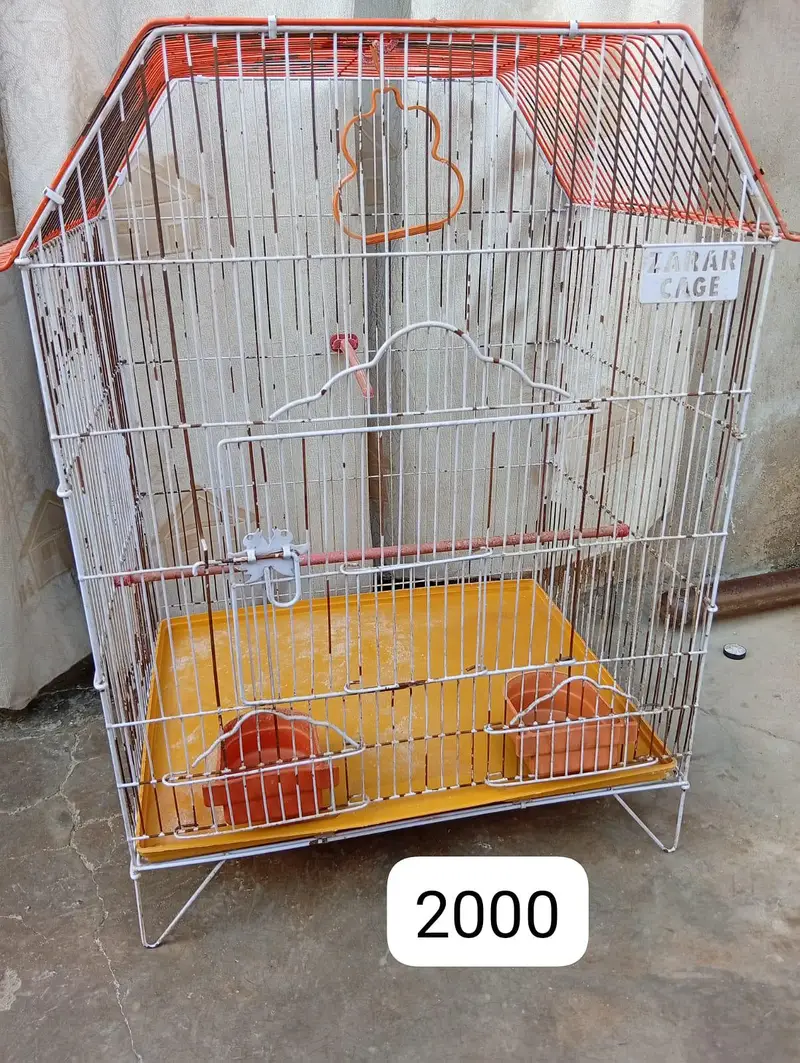 cages — photo 2