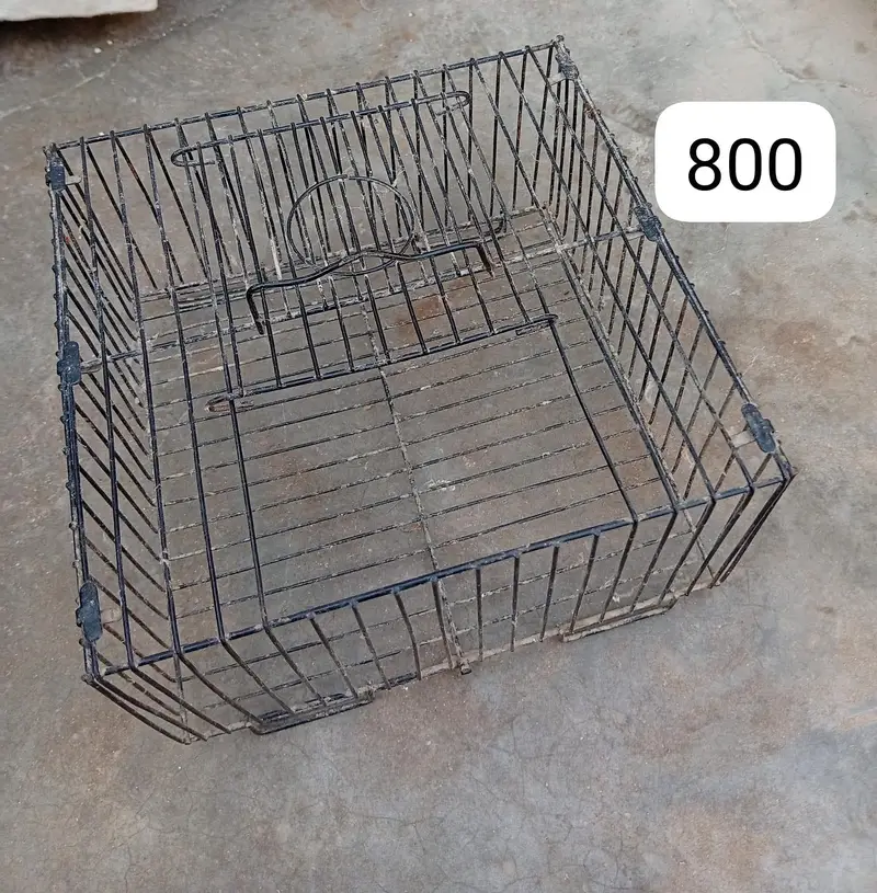 cages — photo 3