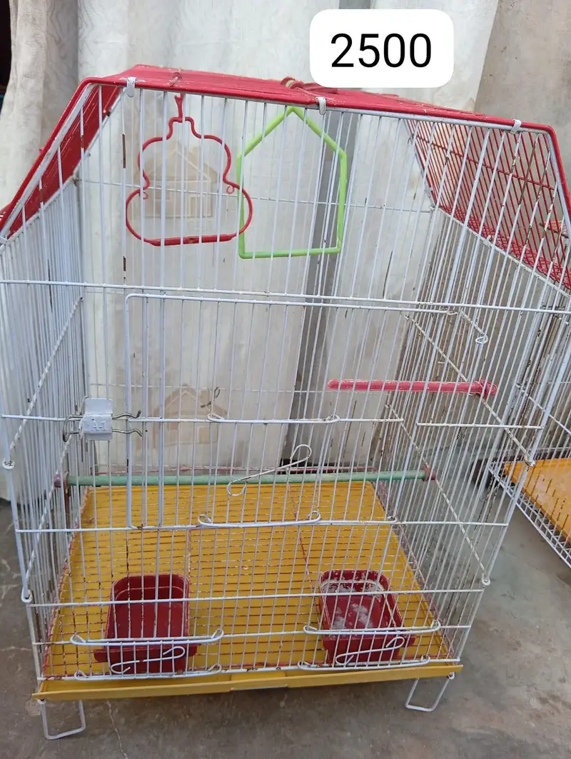 cages — photo 4