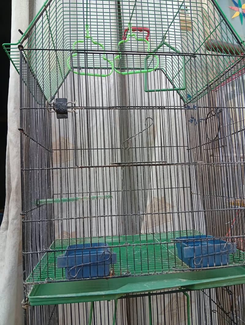 cages 4